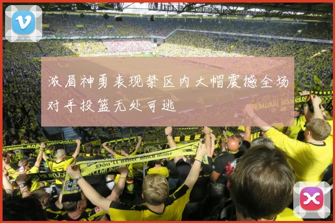 浓眉神勇表现禁区内大帽震撼全场对手投篮无处可逃