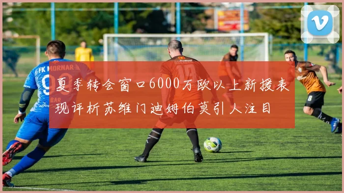 夏季转会窗口6000万欧以上新援表现评析苏维门迪姆伯莫引人注目