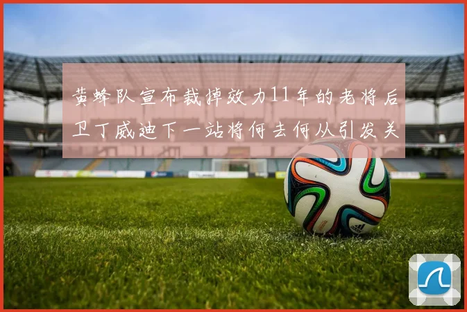 黄蜂队宣布裁掉效力11年的老将后卫丁威迪下一站将何去何从引发关注